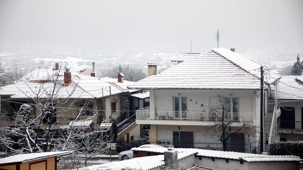 ΧΙΟΝΙΑ ΣΤΟΝ ΧΟΡΤΙΑΤΗ ΘΕΣΣΛΟΝΙΚΗΣ