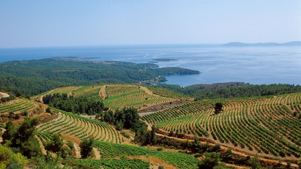 Χειρότερη τουριστική σεζόν αναμένουν για φέτος οι μισοί επιχειρηματίες στη Χαλκιδική