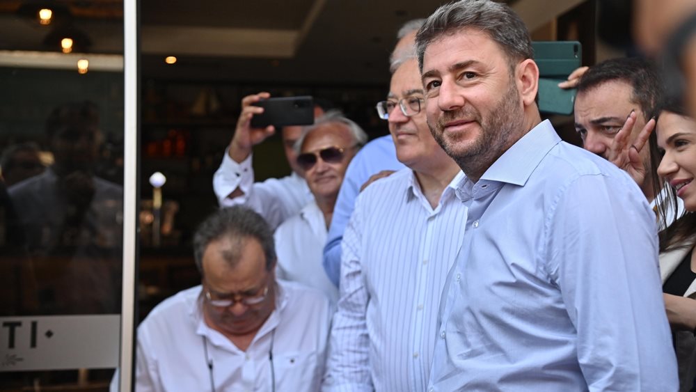 Νίκος Ανδρουλάκης:Το ΠΑΣΟΚ συνεχίζει τη σταθερά ανοδική του πορεία