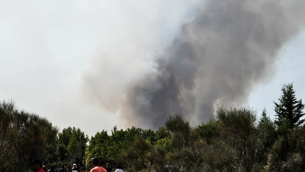 Μαίνεται το μέτωπο στη Φωκίδα: Η φωτιά κινείται απειλητικά προς το Μαλανδρίνο
