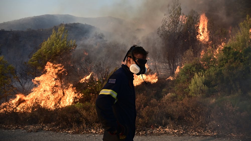 Αρκαδία: Πυρκαγιά στο Ρούτσι Μεγαλόπολης