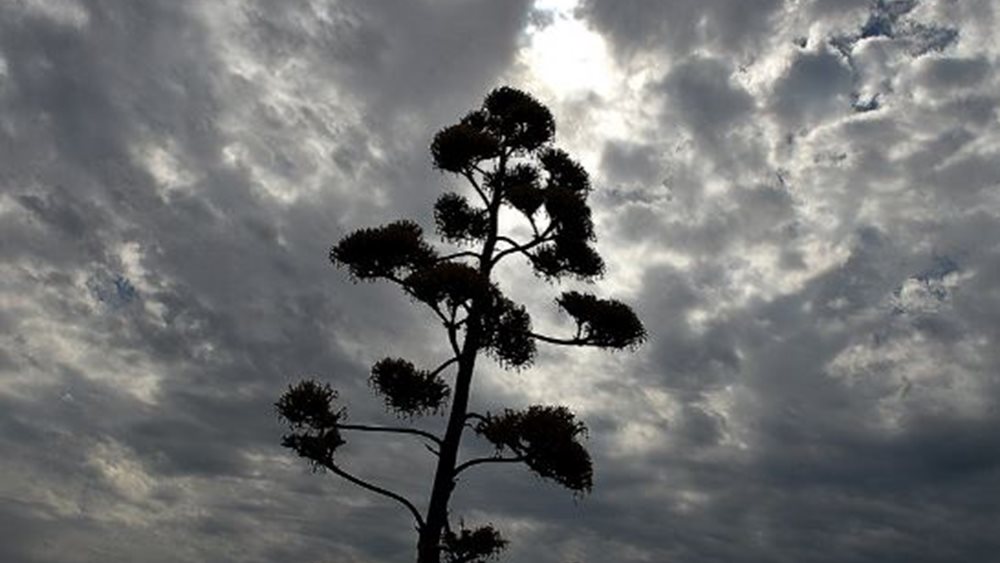 Βελτιωμένος ο καιρός ανήμερα Χριστούγεννα: Οι περιοχές που θα βρέξει - Ερχεται ψυχρή εισβολή από την Παρασκευή