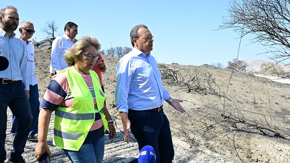 Σ. Φάμελλος: Άμεσα μέτρα στήριξης των τοπικών κοινωνιών μετά τις πυρκαγιές