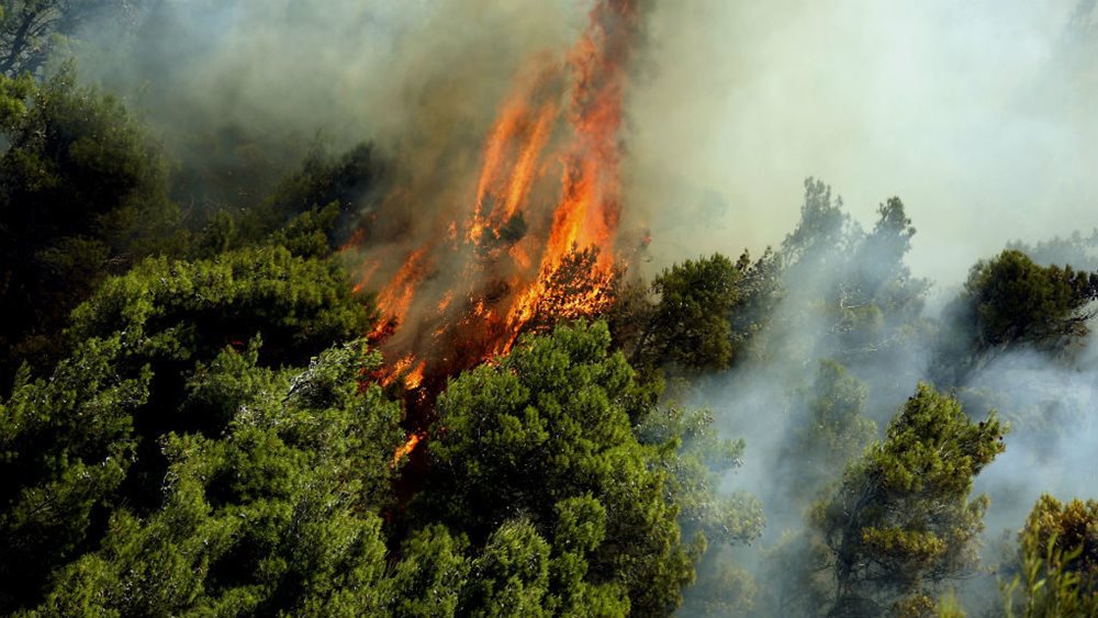 Πέρασε στη Θεσπρωτία η φωτιά από την Αλβανία