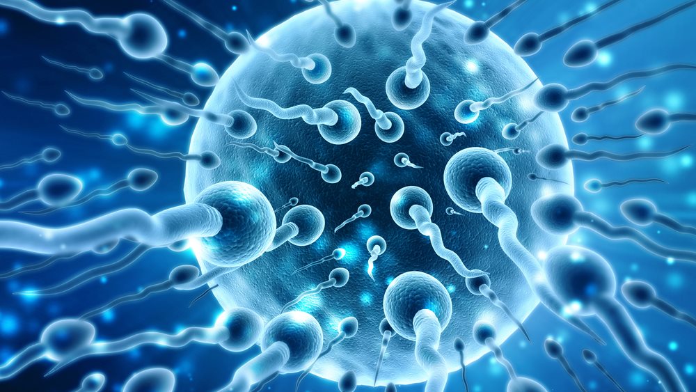 Επηρεάζει η λοίμωξη με SARS-CoV-2 την ανδρική γονιμότητα;