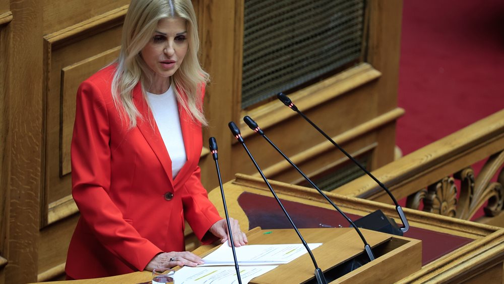 Ελ. Ράπτη: Η δημόσια περιουσία δεν χαρίζεται, αλλά αξιοποιείται προς όφελος της κοινωνίας