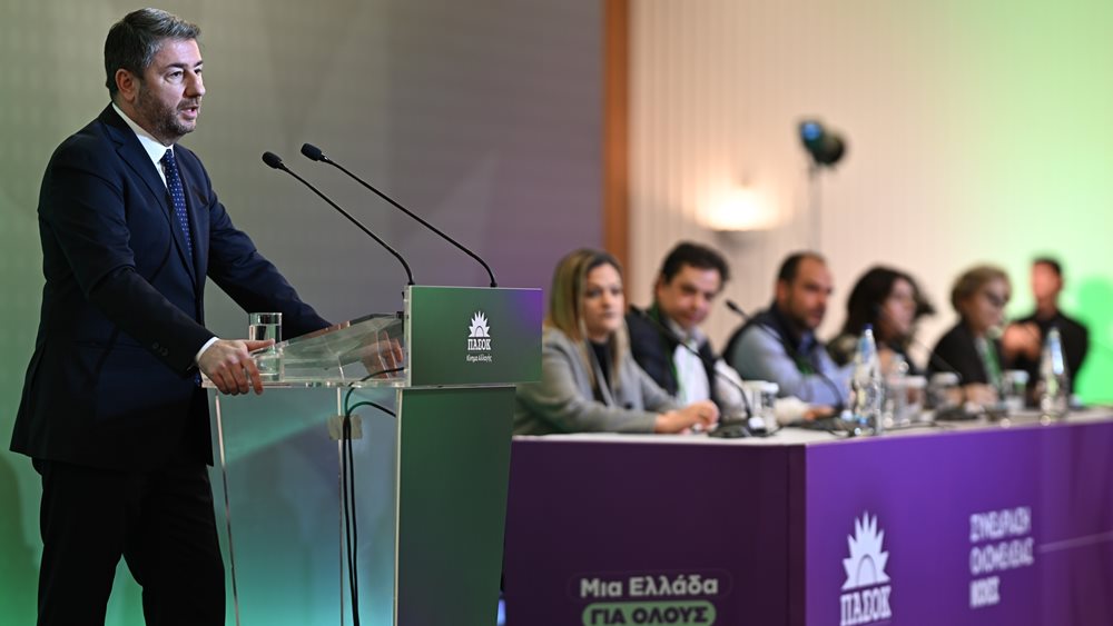 Ν. Ανδρουλάκης: Αυτόνομο θα δώσει το ΠΑΣΟΚ την εκλογική μάχη - Τι είπε για τη συνταγματική αναθεώρηση