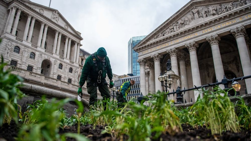 Οι πέντε "άγνωστοι Χ" των κεντρικών τραπεζών - Πώς θα καθορίσουν την πορεία των αγορών το 2022