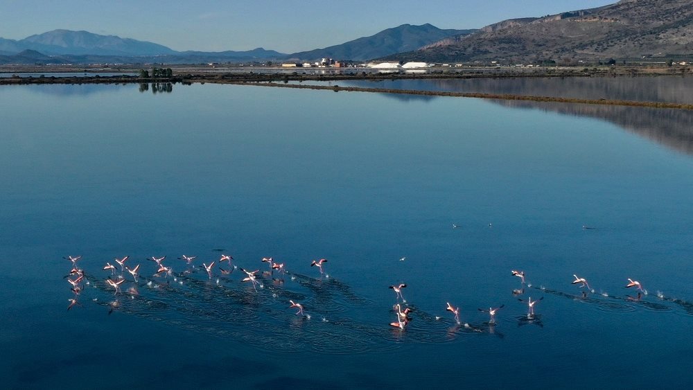 Οι υδατοκαλλιέργειες σε Ισπανία, Γαλλία, Ιταλία και Ελλάδα αντιπροσωπεύουν τα δύο τρίτα της παραγωγής στην ΕΕ