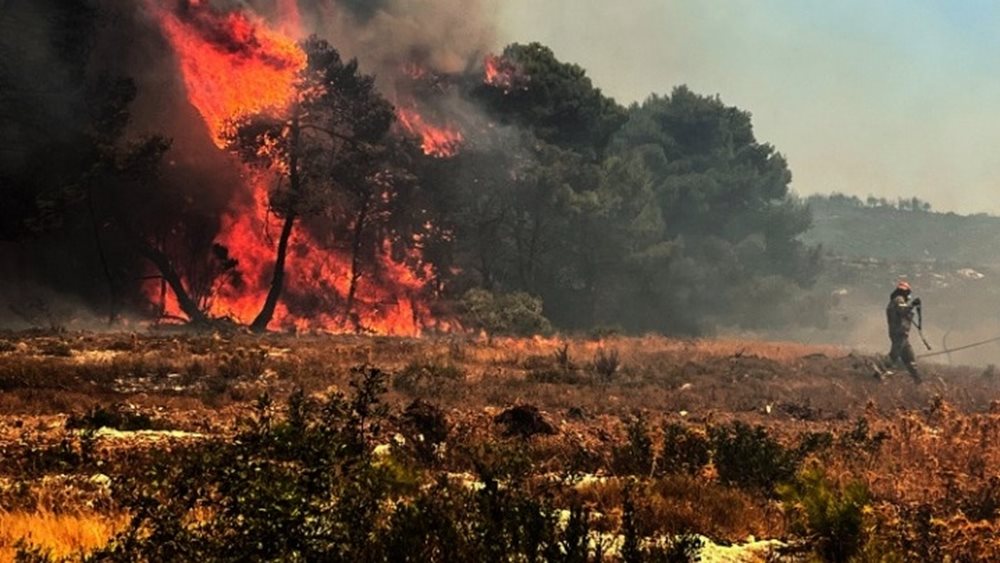 Φωτιά στην Αχαΐα: Στα δικαστήρια της Πάτρας οι κατηγορούμενοι για εμπρησμό