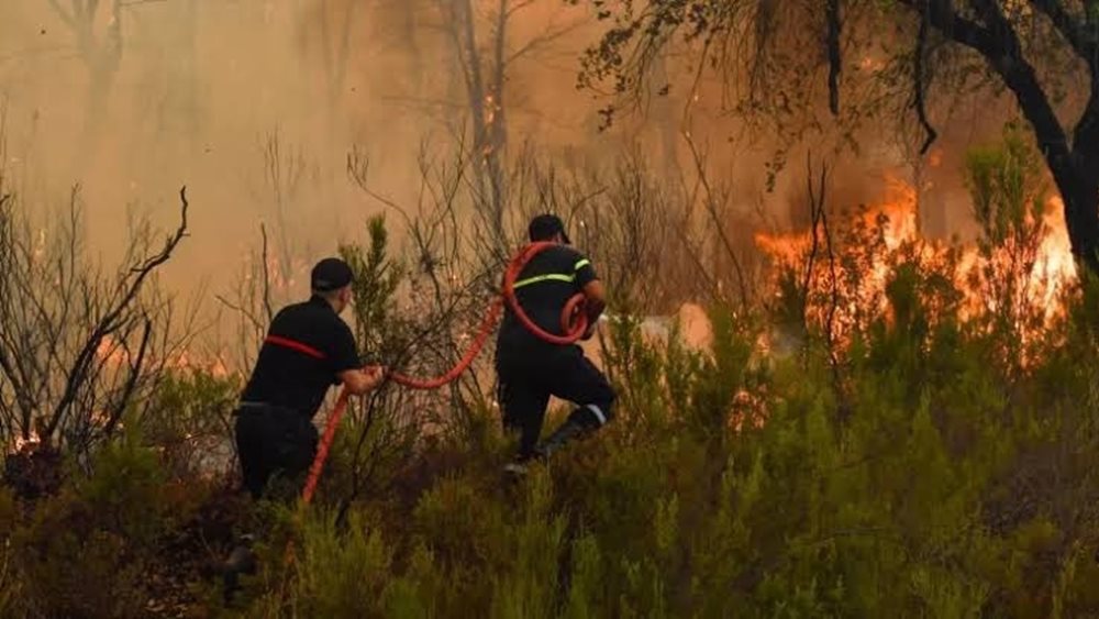 Μαρόκο: Οριοθετήθηκε η μεγάλη δασική πυρκαγιά στα βόρεια της χώρας