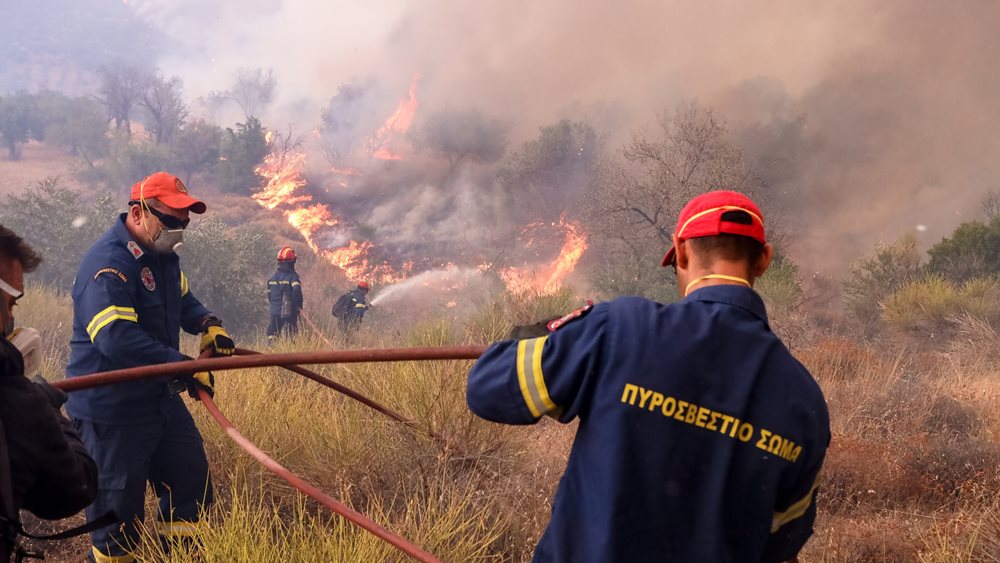 Πυρκαγιά στο Καλαμωτό Θεσσαλονίκης σε δύσβατη περιοχή
