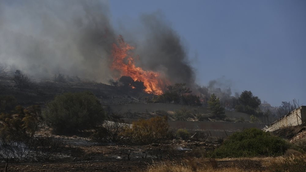 Λάρισα: Δύο πυρκαγιές σε Αετόλοφο Αγιάς και Καλοχώρι - Τέθηκαν γρήγορα υπό έλεγχο