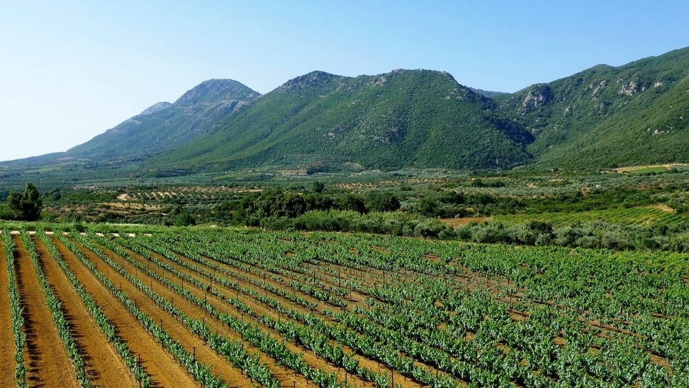 Στρατηγική συνεργασία της ΤΕΜΕΣ με Premia Properties και Ελληνικά Οινοποιεία