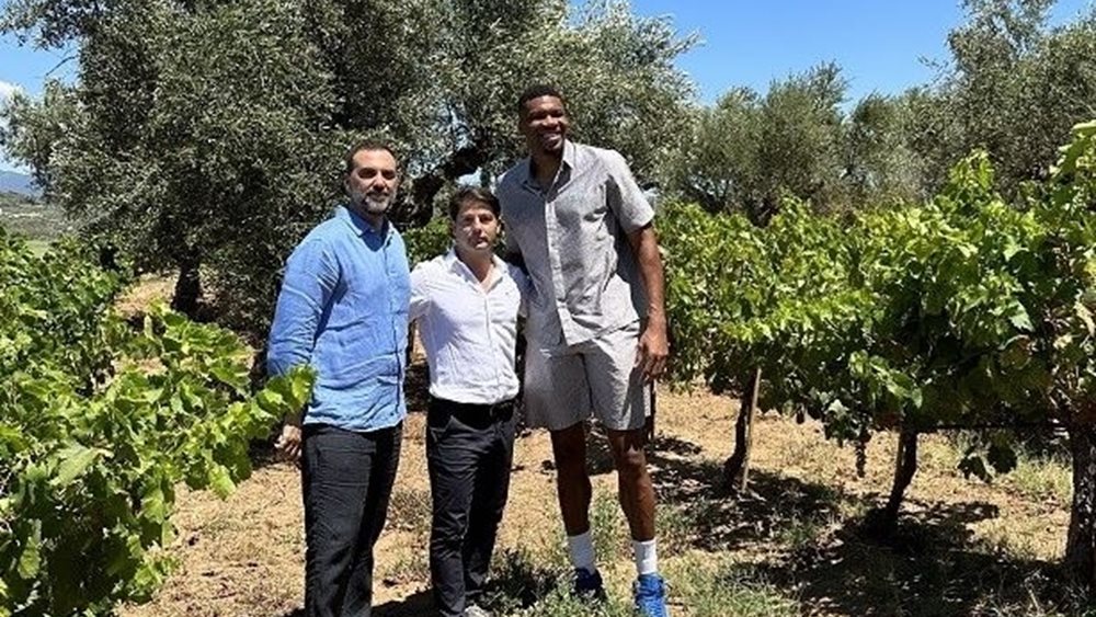 Εξαγορά του Village Shopping & More στο Ρέντη από Premia και οικογένεια Αντετοκούνμπο έναντι €14,1 εκατ.