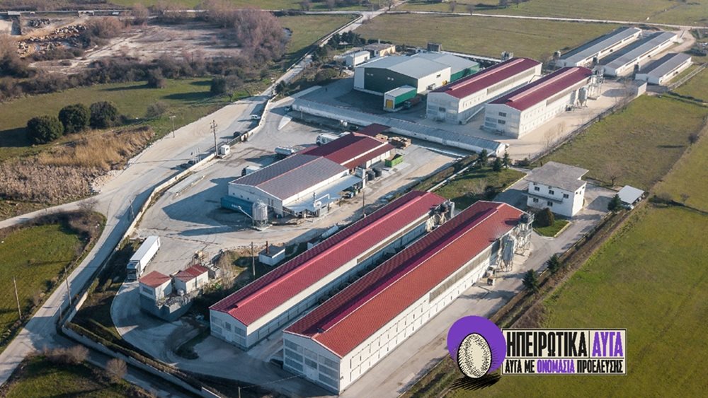 Ηπειρώτικα Αυγά: Νέα εταιρεία με αποκλειστική παραγωγή cage-free αυγών – Απορρόφηση της Ovo Fresco