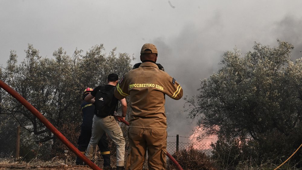 Εισαγγελία Βόλου: Κατεπείγουσα προανακριτική για τις καταστροφικές πυρκαγιές