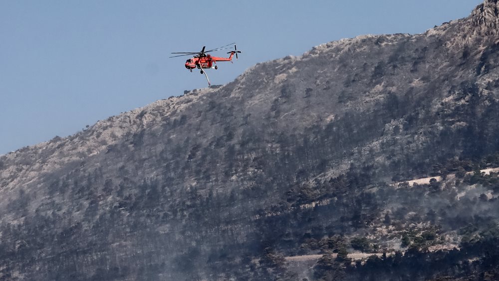 Σε 5.551 στρέμματα ανέρχονται οι καμένες εκτάσεις στην Αττική από τις πυρκαγιές του περασμένου Σαββατοκύριακου