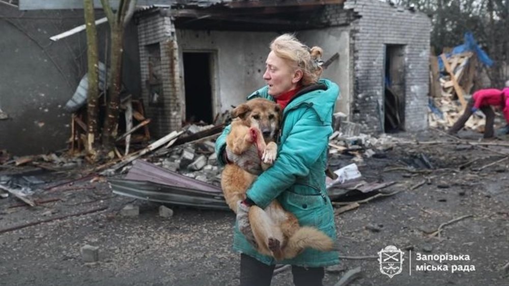 Ουκρανία: Ρωσικό drone έπληξε καταφύγιο ζώων, περίπου 10 είναι νεκρά