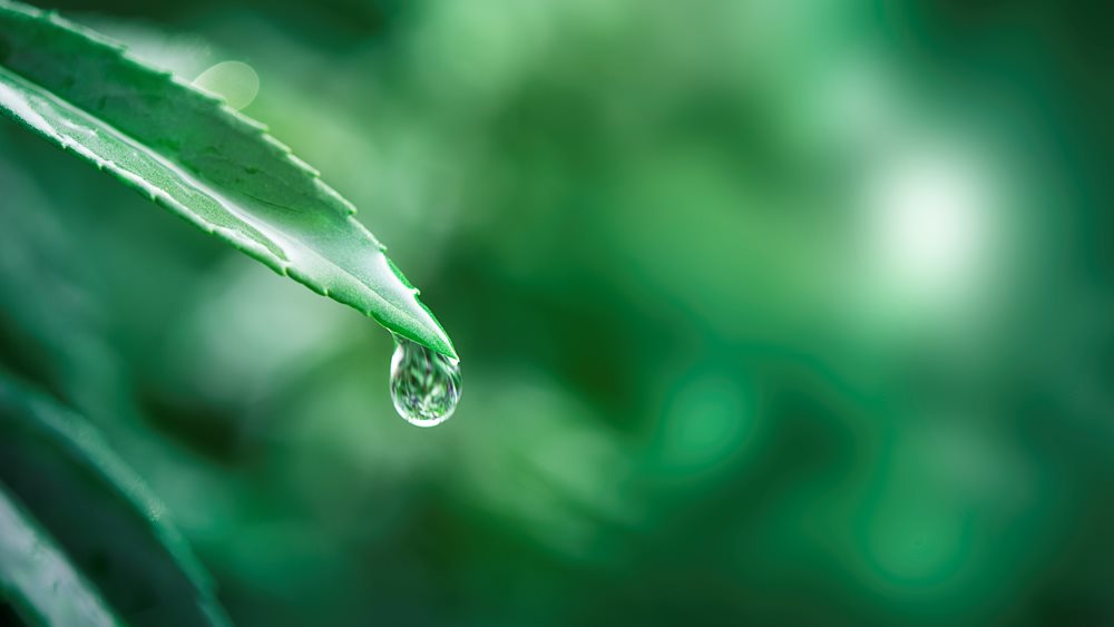 Το νερό στο… μικροσκόπιο