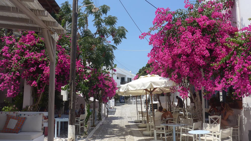 Μαύρο καλοκαίρι για τον τουρισμό στη Λέσβο