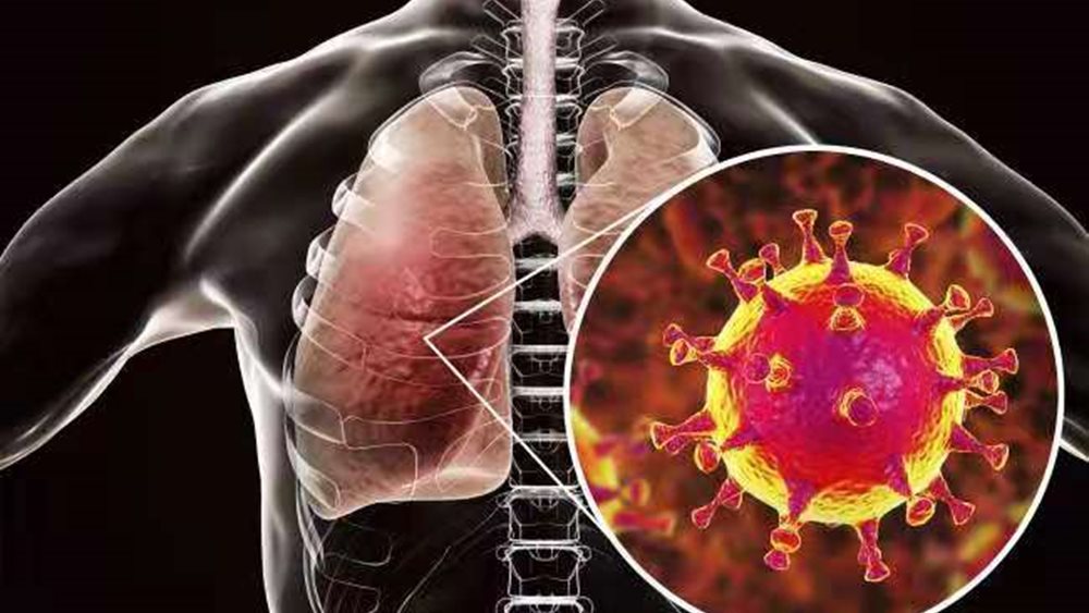 Ανακάλυψη Ελλήνων επιστημόνων που θα μπορούσε να βάλει &quot;φρένο&quot; στους θανάτους από τον κορονοϊό