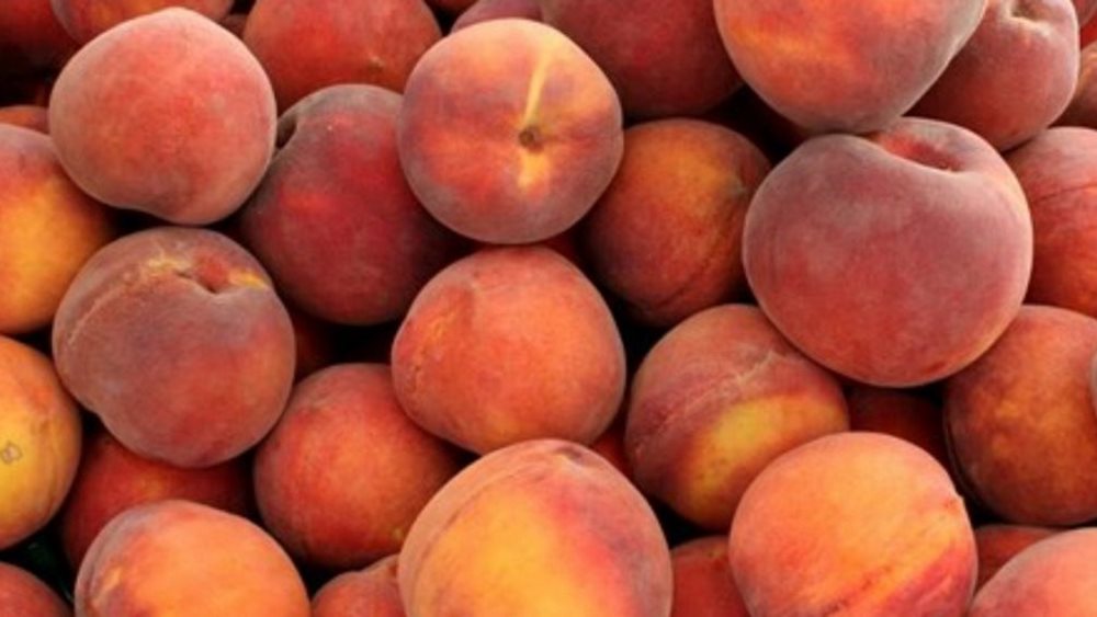 Έκτακτη οικονομική ενίσχυση στα ροδάκινα