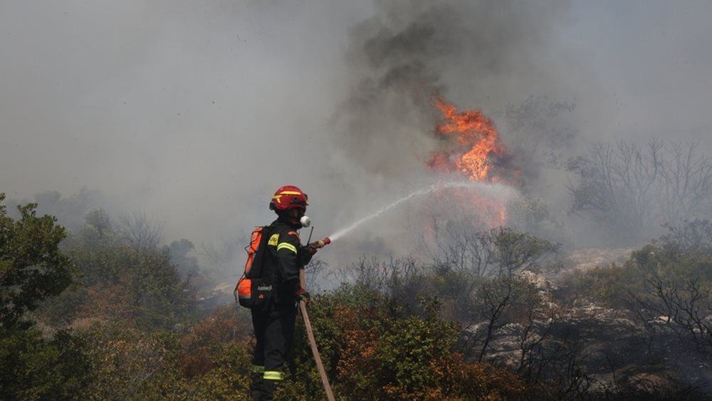 ΚΕΦΙΜ: Η δασοπυρόσβεση και η πολιτική προστασία στην Ελλάδα και την ΕΕ - Από την καταστολή στην πρόληψη και την αποκέντρωση