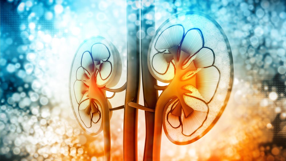 Εικονική πραγματικότητα για τους ασθενείς με χρόνια νεφρική νόσο