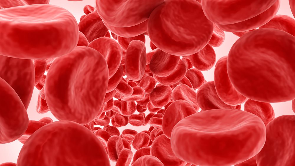 Ωρίμανση ερυθρών: Από την επαναστατική Επιστήμη στους ασθενείς με β-θαλασσαιμία