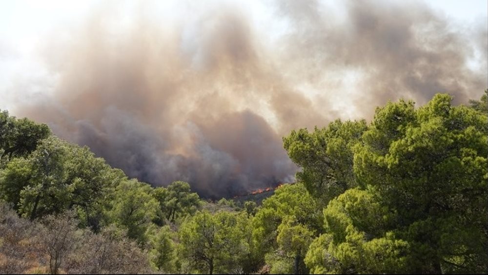 Φωτιά στην Κερατέα: Ελεύθεροι οι δύο υπάλληλοι του ΔΕΔΔΗΕ