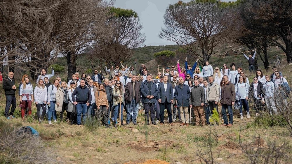 Παπαστράτος: Ξεκινά η β΄ φάση του μεγάλου προγράμματος αναδάσωσης