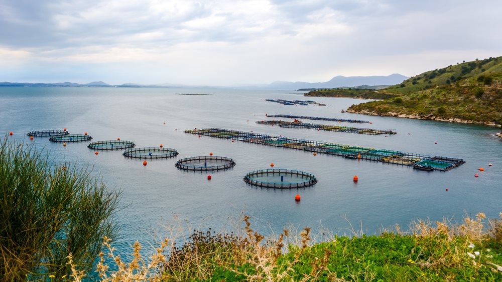 Νηρεύς: Από 17/3 έως 22/4 η περίοδος αποδοχής της Δημόσιας Πρότασης