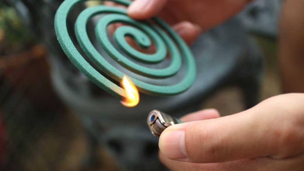 Γιατί τα κουνούπια τσιμπούν μόνο εσάς;