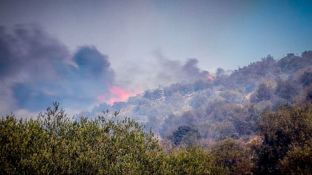 Φωτιά στη Βοιωτία: Εκκενώνονται δύο οικισμοί - Νεκρός κτηνοτρόφος από αναθυμιάσεις