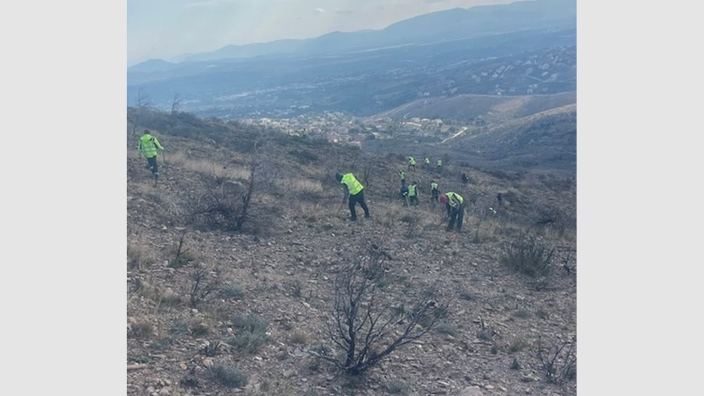 "Συμμαχία" επιχειρήσεων για την αναδάσωση του Αγίου Στεφάνου - Θα φυτευθούν 35.000 δενδρύλλια