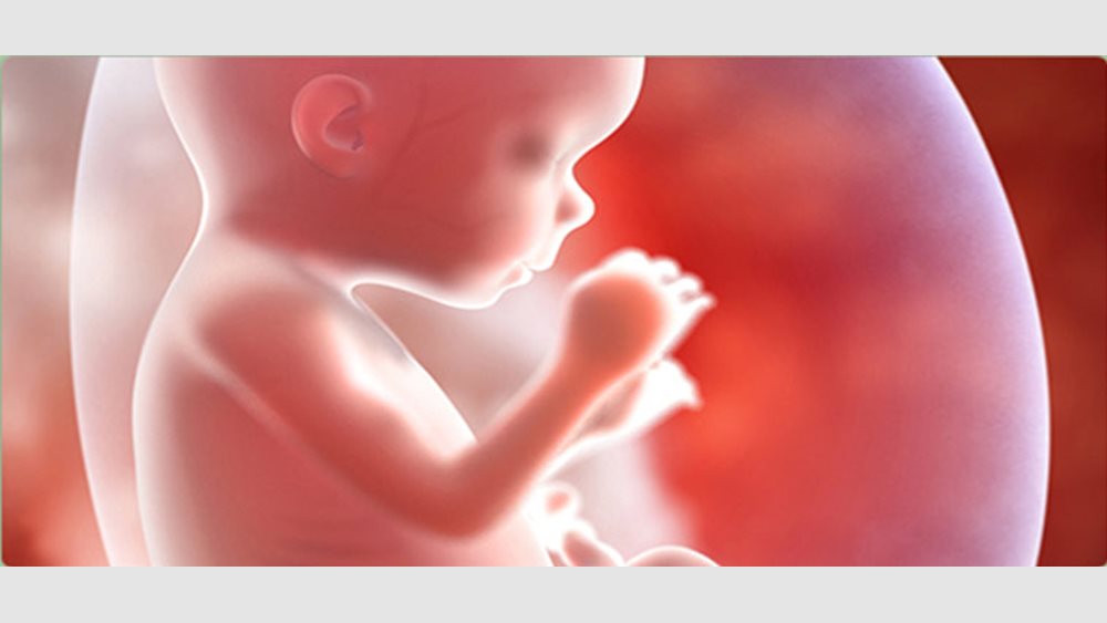 Η μαριχουάνα μπορεί να επηρεάσει την ανάπτυξη του εμβρύου