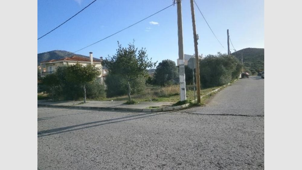 Πλειστηριασμοί: Νέα σφυριά για οικογένειες Αγούδημου και Κοντοβερού