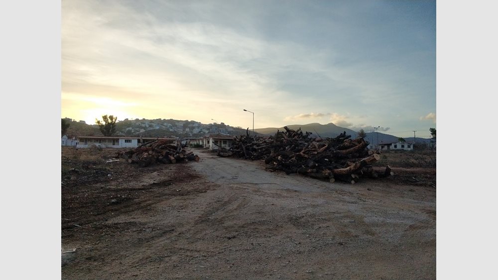 Παράταση για τις δηλώσεις καθαρισμού οικοπέδων - 459.252 πολίτες έχουν υποβάλει δήλωση