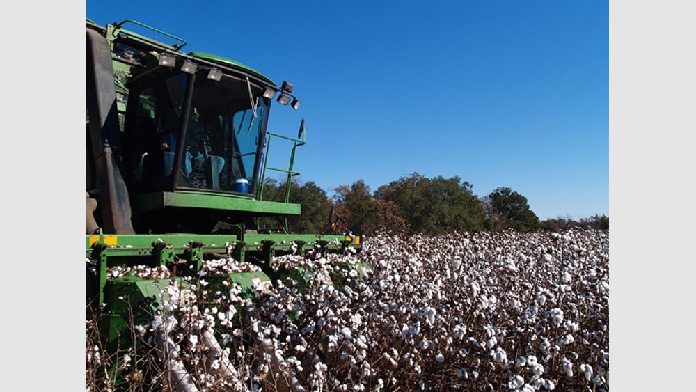 Β. Κόκκαλης: Χαράσσεται εθνική στρατηγική πενταετίας  για τη βιώσιμη ανάπτυξη του βαμβακιού