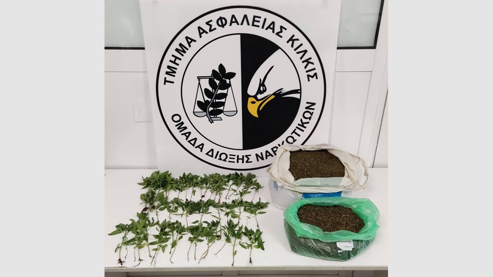 Εξαρθρώθηκε σπείρα διακίνησης ναρκωτικών - Κατασχέθηκε πάνω από 1 τόνος κάνναβη