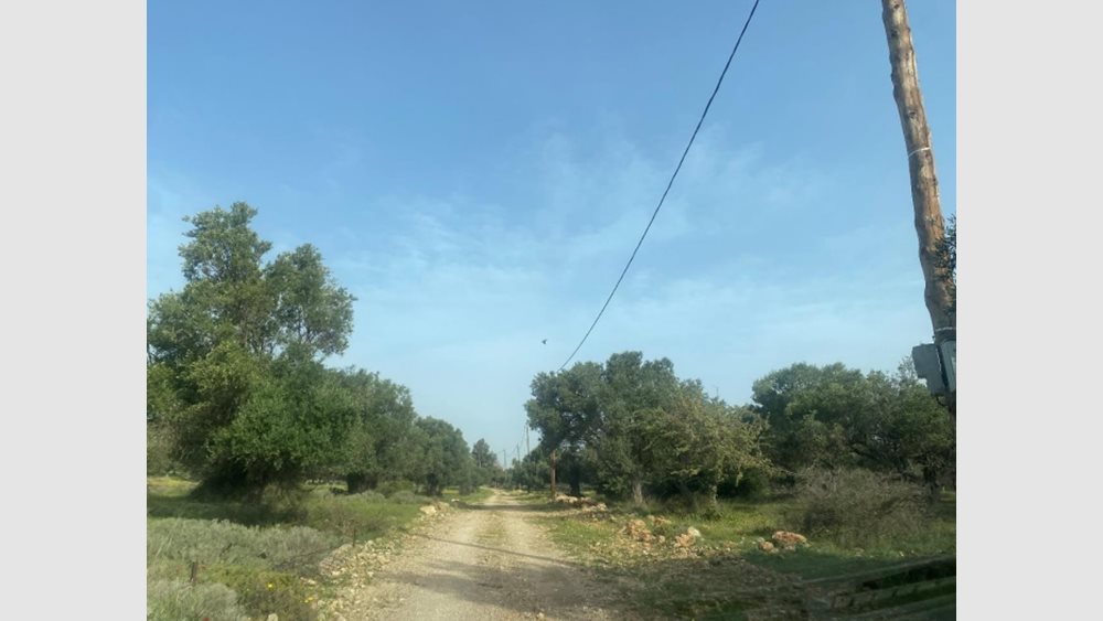 Πλειστηριασμοί: Άλλαξαν χέρια αγροτεμάχια της οικογένειας Αγούδημου