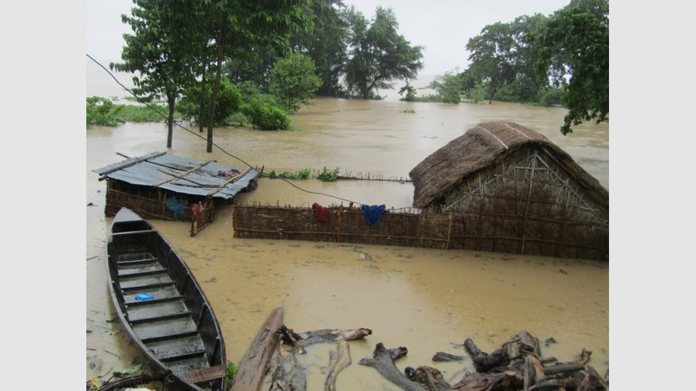 India: Death toll from floods and landslides rises to 50