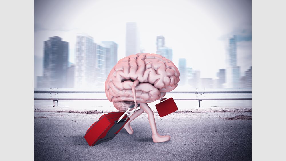 Alpha Bank: Πώς από το Brain Drain θα περάσουμε στο Brain Gain