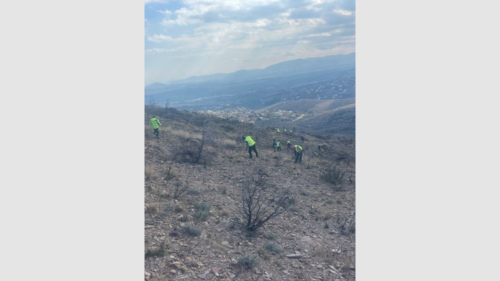 &quot;Συμμαχία&quot; επιχειρήσεων για την αναδάσωση του Αγίου Στεφάνου - Θα φυτευθούν 35.000 δενδρύλλια