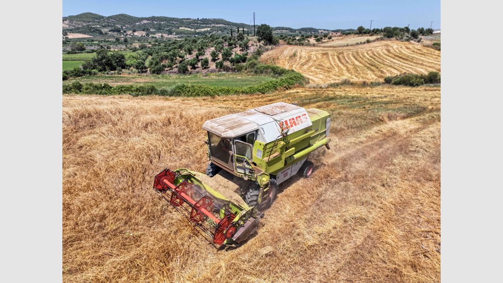 Νέα μείωση 4,2% των τιμών εκροών σε Γεωργία - Κτηνοτροφία τον Σεπτέμβριο