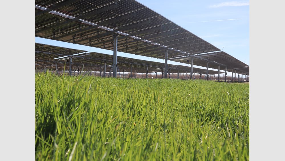STS Engineering: H startup που εξειδικεύεται στον τομέα των solar trackers
