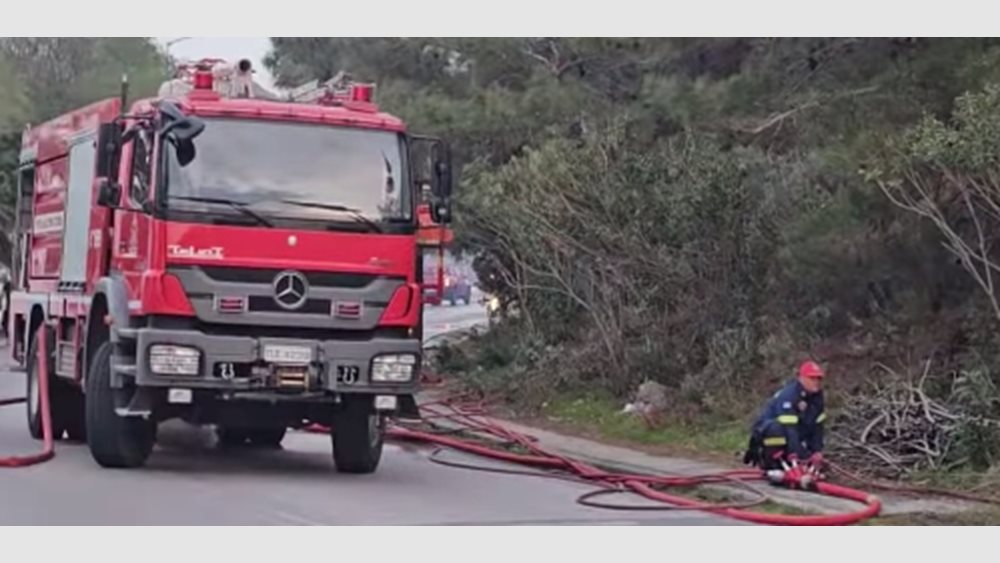 Υπό μερικό έλεγχο η πυρκαγιά σε δασική έκταση στη Σάμο