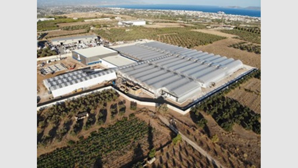 Στην Κόρινθο το πρώτο εργοστάσιο φαρμακευτικής κάνναβης