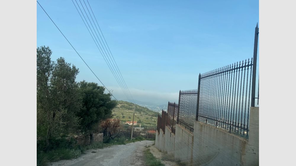 Πλειστηριασμοί: Σε νέους ιδιοκτήτες ακίνητα των οικογενειών Αγούδημου και Βγενόπουλου